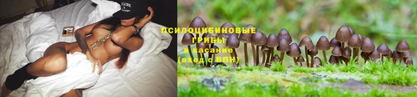 спайс Балахна