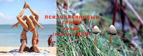 спайс Балахна