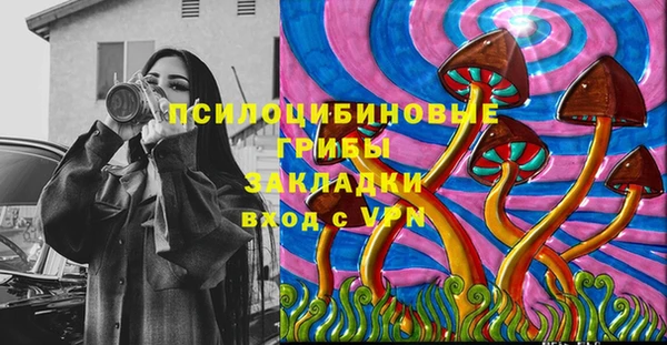 дмт Белокуриха