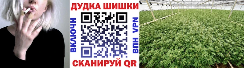 Марихуана OG Kush  купить   Коряжма 